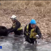 Сотрудники МЧС спасли двух коров, провалившихся под лед в Заманкуле