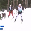 Во Владимирской области прошли соревнования ездовых собак
