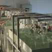 На Беломорской биологической станции МГУ испытывают препарат для борьбы с загрязнениями морской воды