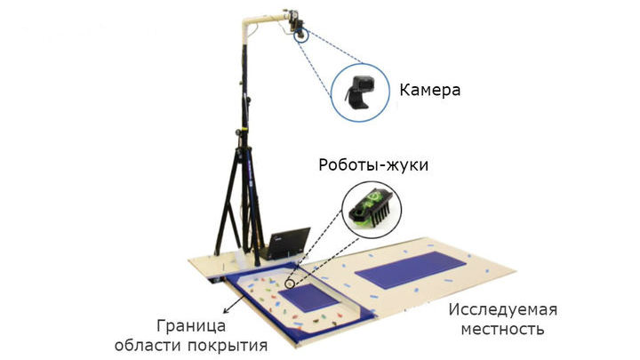 Испытание концепции создания карт с помощью группы роботов. Камера снимает движения машин, после чего программное обеспечение определяет открытые и недоступные участки местности.