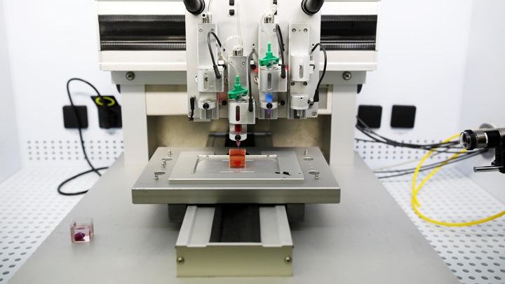 В России разработан 3D-принтер для печати органов