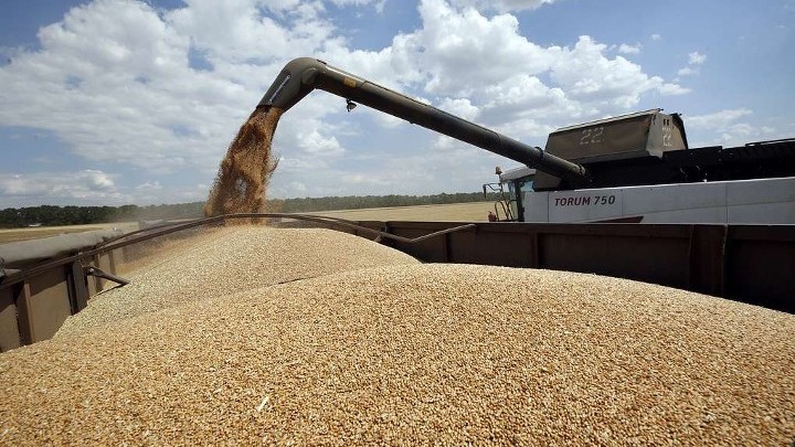 Украина, игнорируя угрозу голода, вывозит резерв пшеницы в Европу