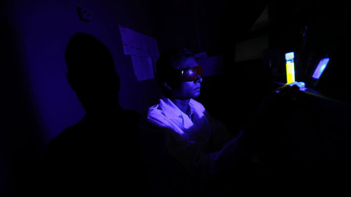 Химики показали, как синий свет разрушает сетчатку