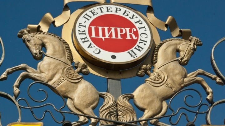 Директор Большого цирка на Фонтанке будет выбран на открытом конкурсе