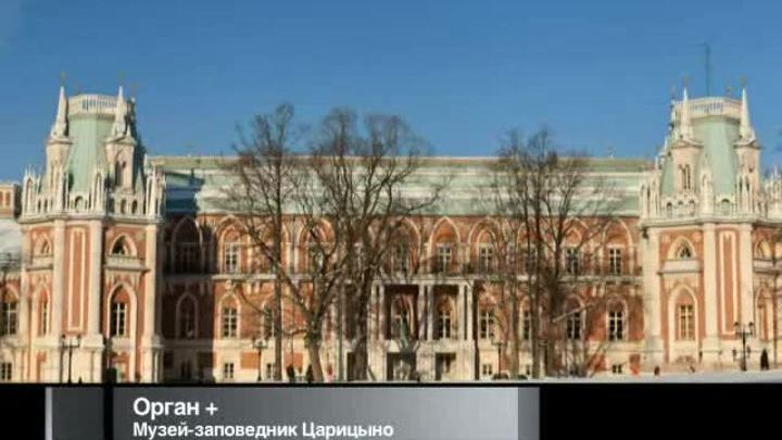 Афиша. 26 января 2013 года