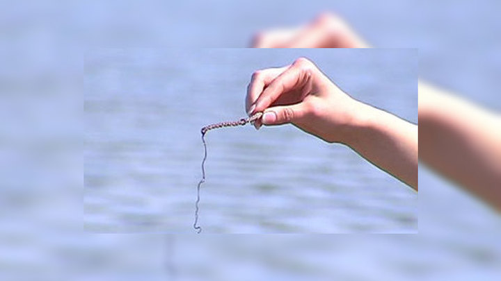 Конский волос в воде чем опасен