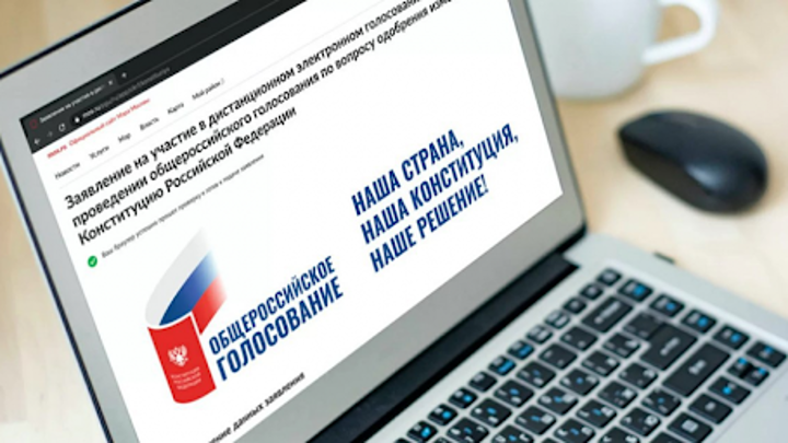 Доступ к наблюдению на электронных выборах откроют всем россиянам
