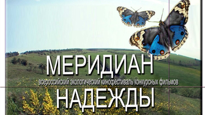 В Петербурге открыт кинофестиваль