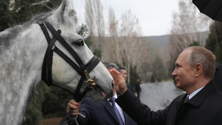 "Реальный кульбит": как президент упал с лошади
