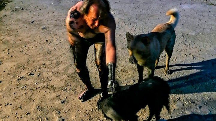 "Вязкая ловушка": в Тверской области спасли собак, утопавших в мазуте