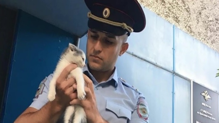 Магазин Красноярск Смотреть