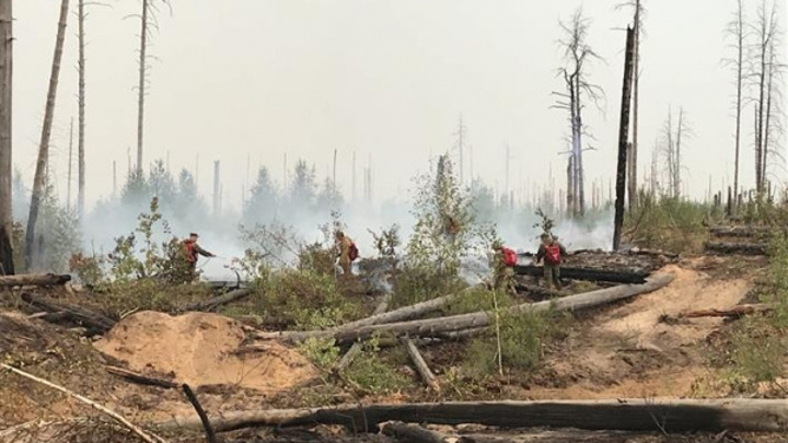 Лесные пожары не угрожают: в Нижегородской области отменили режим ЧС
