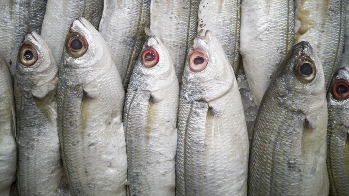 В Тамбовской области сняли с продажи 2 партии просроченной рыбы