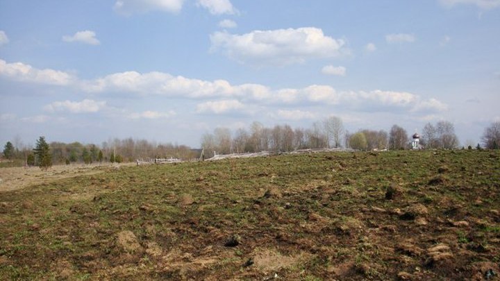 Родина княгини Ольги под угрозой исчезновения
