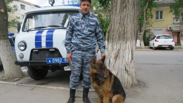Служебная собака помогла раскрыть кражу в Крыму