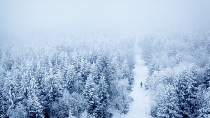 Ивановские спасатели не дали замерзнуть в лесу инвалиду