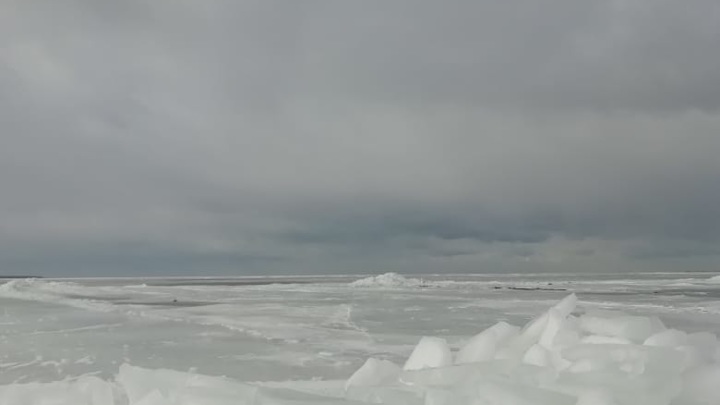 В заливе Ростовской области из-за льда погибла рыба