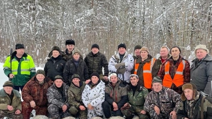 Под Вологдой отстрелили 6 волков, терроризировавших местных жителей