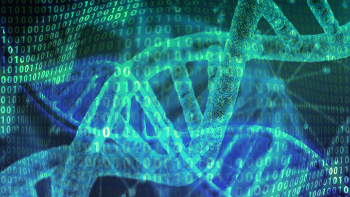 ДНК — макромолекула, хранящая биологическую информацию в виде генетического кода.
