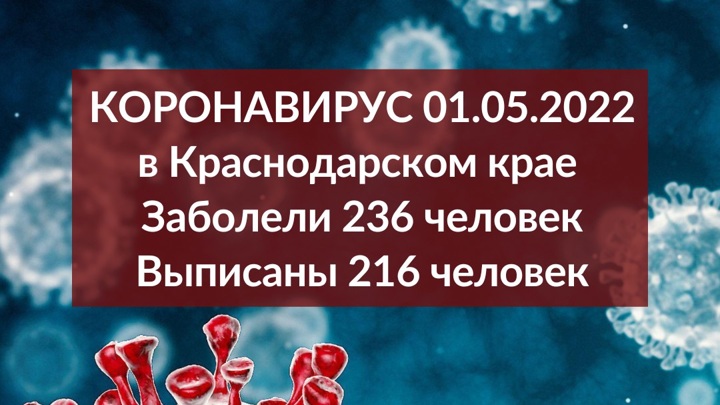 За сутки на Кубани зафиксировали 236 новых случаев коронавируса