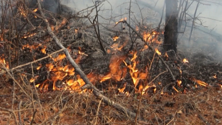 За сутки площадь пожаров в Иркутской области увеличилась в полтора раза