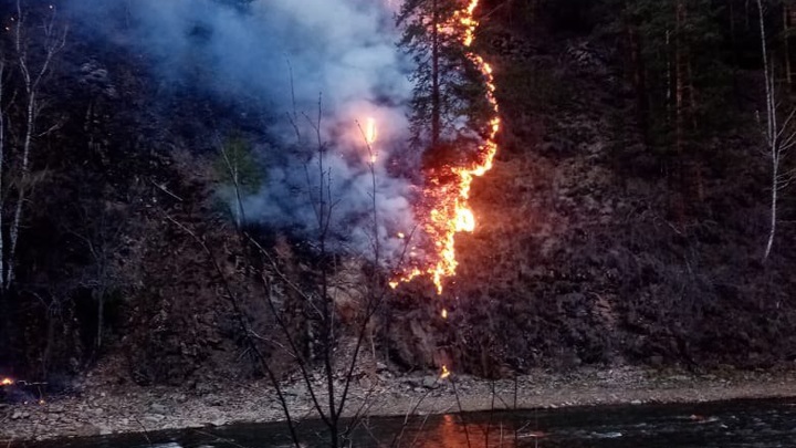 В Башкирии на территории заповедника горят 7 га леса