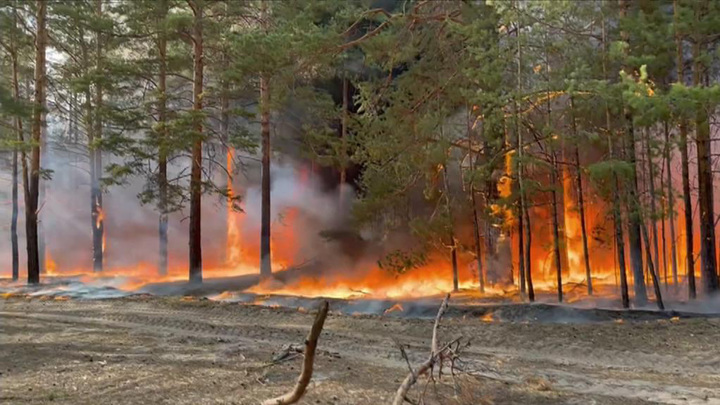 В Красноярском крае пожары отступили от населенных пунктов
