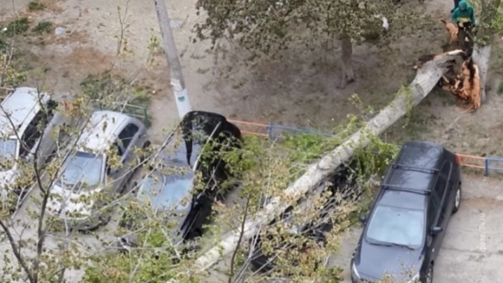 Сильный ветер повредил более 35 автомобилей в Москве