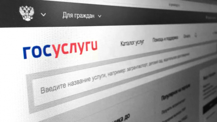 Жители Костромы временно не могут попасть на сайты МФЦ и Госуслуг