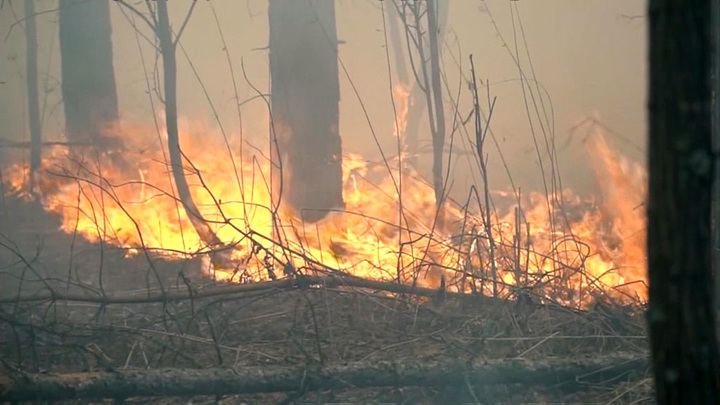 в Иркутской области наращивают группировки по тушению пожаров