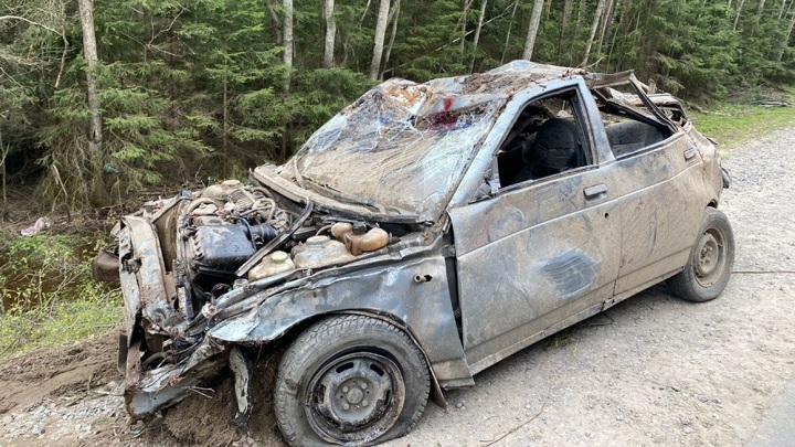 Пьяный водитель бросил в лесу машину с мертвой пассажиркой и обвинил в ДТП лося