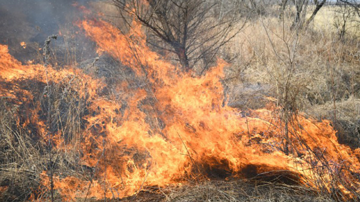 "Авиалесоохрана" опровергла причину пожара на складах в Свердловской области