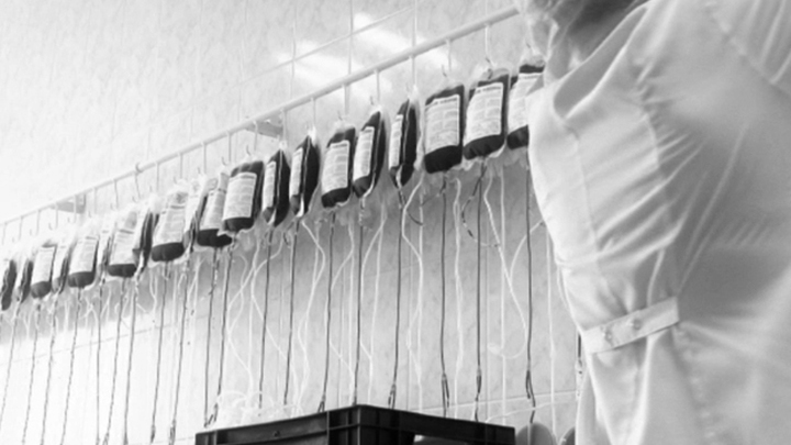 В Нью-Йорке объявлены лауреаты фестиваля российского документального кино