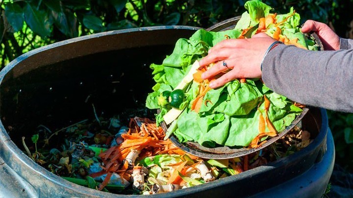 Еврокомиссия установит юридически обязательные цели по снижению пищевых отходов