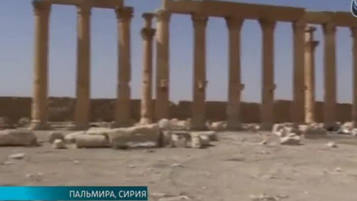 Разминировано несколько колонн древней Пальмиры